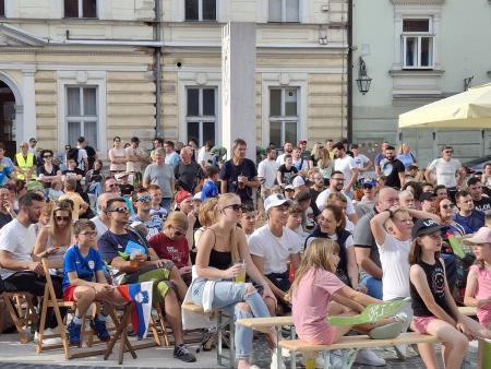 Ogledi nogometnih tekem slovenske reprezentance  (9)